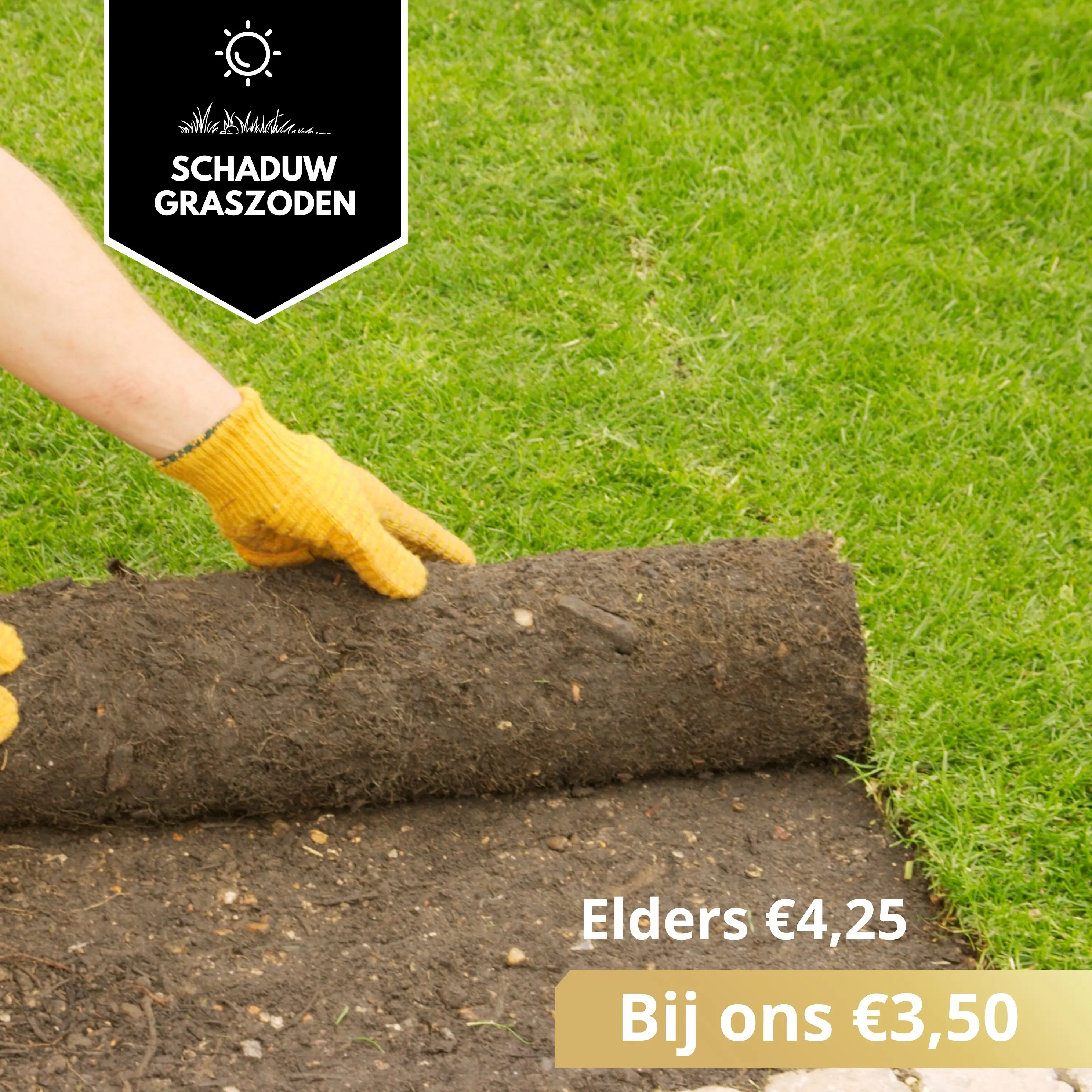 Schaduw  Graszoden