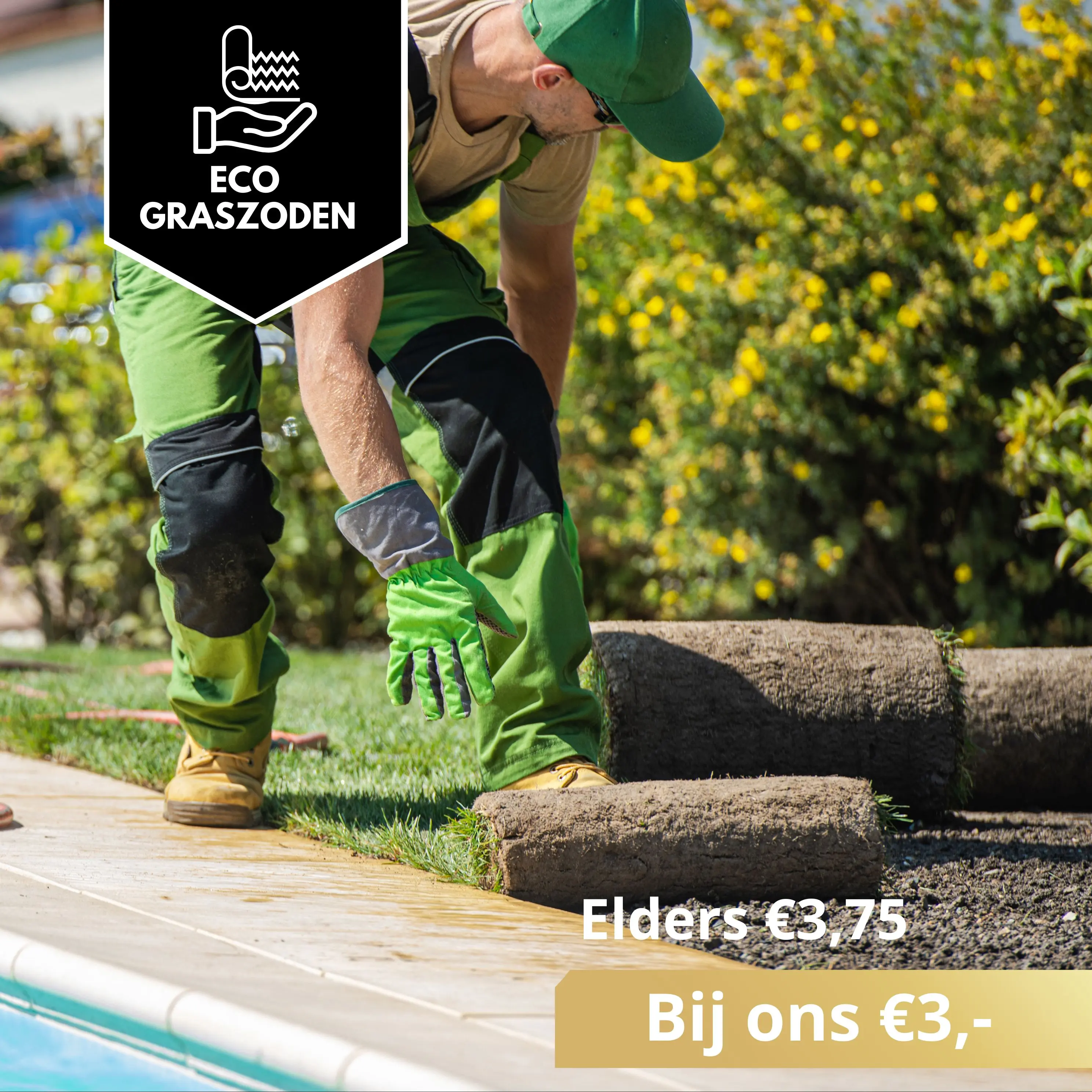 Eco   Graszoden