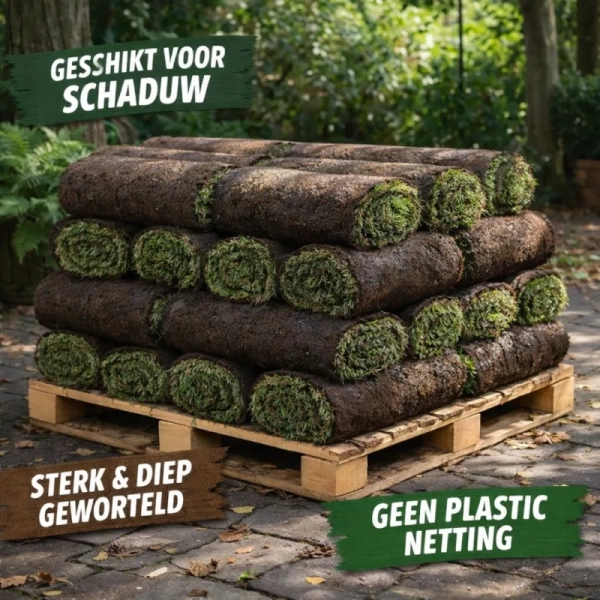 schaduw-graszoden-haarlem